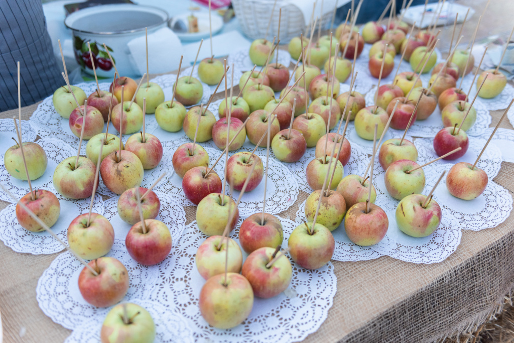DSC_3651.jpg DSC_3651.jpg